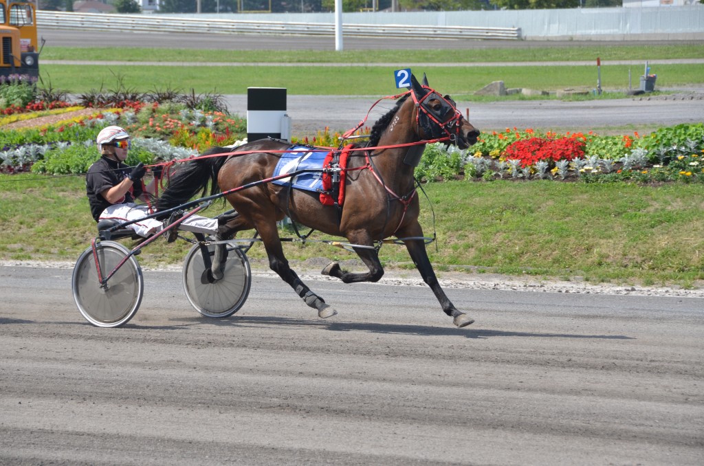 7; Beer Maggs; K Maguire; K Maguire;1:59.2;2014-06-29