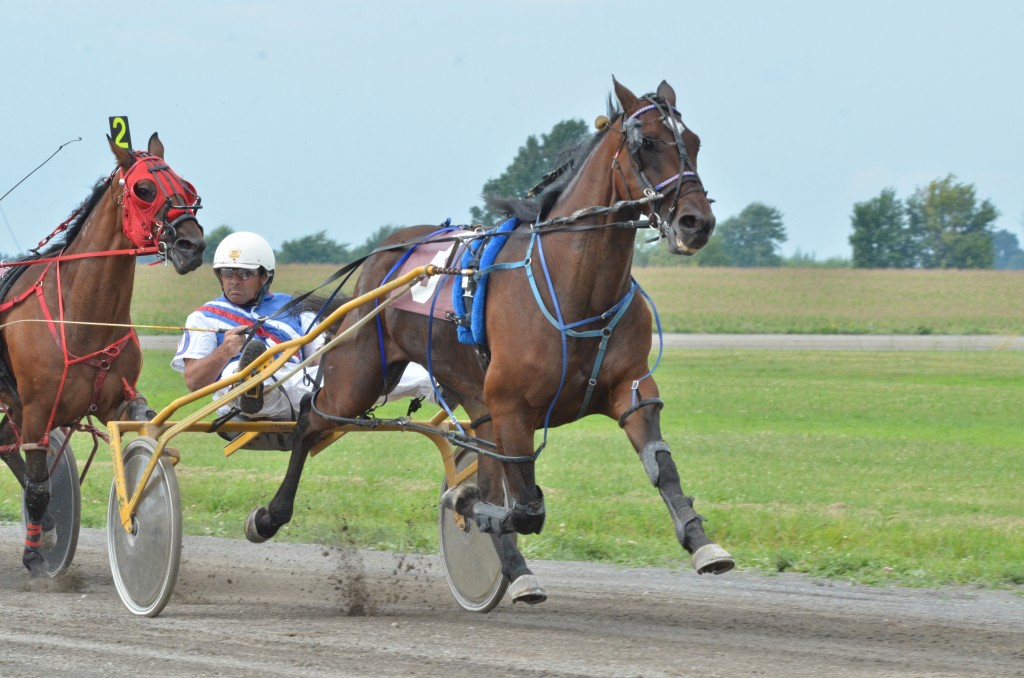 9; Edmund Hanover ; D Dulude ; 2:04.3 ; 2014-07-26 ; Ormstown ; Action